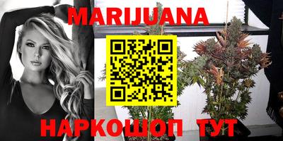 гашик Славгород
