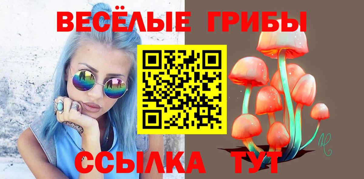 Псилоцибиновые грибы прущие грибы  Вход с VPN  Осинники 