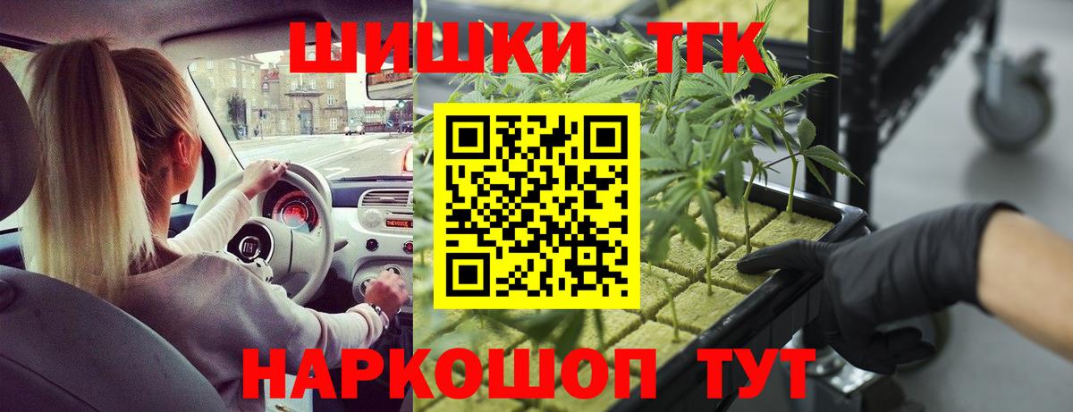 Канабис планчик  Вход с VPN  Осинники  Канабис Bruce Banner  Конопля индика 
